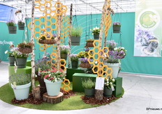 Het concept Bee Loved is een selectie van planten waar de bijen gek op zijn.